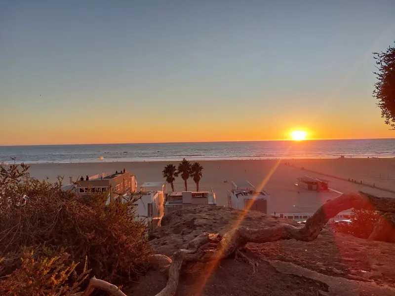 The sun setting over the ocean beyond a beach with palm trees